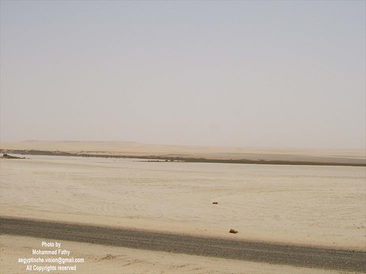 Desert - Desert 11.jpg