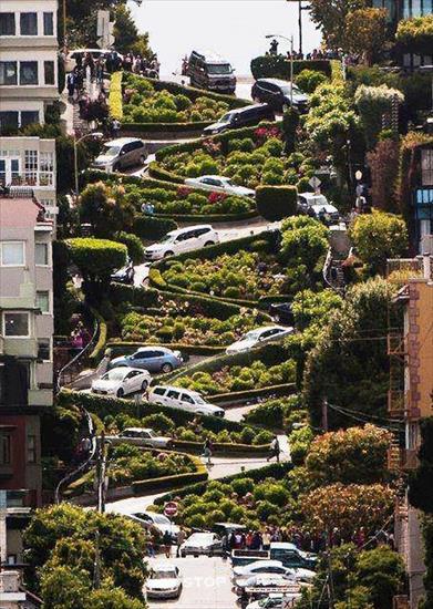INNE KRAJE- 6 - Ulica w San Francisco, USA.jpg