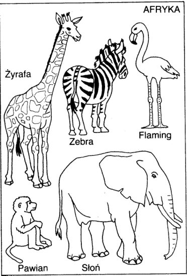 Zwierzęta egzotyczne i hodowlane - afryka.jpg