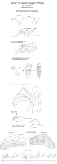 Jak Rysować - How_To_Draw_Angel_Wings_by_Tami6677.jpg