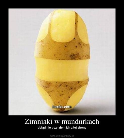 Demotywatory i Motywatory - Ziemniaki w mundurkach.jpg